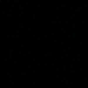 Meet your Posher, Tiana